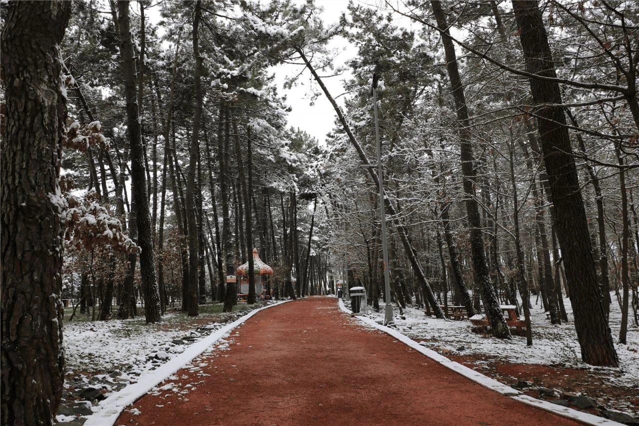 Çekmeköy Web Tasarım